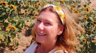 Sunflower Festival